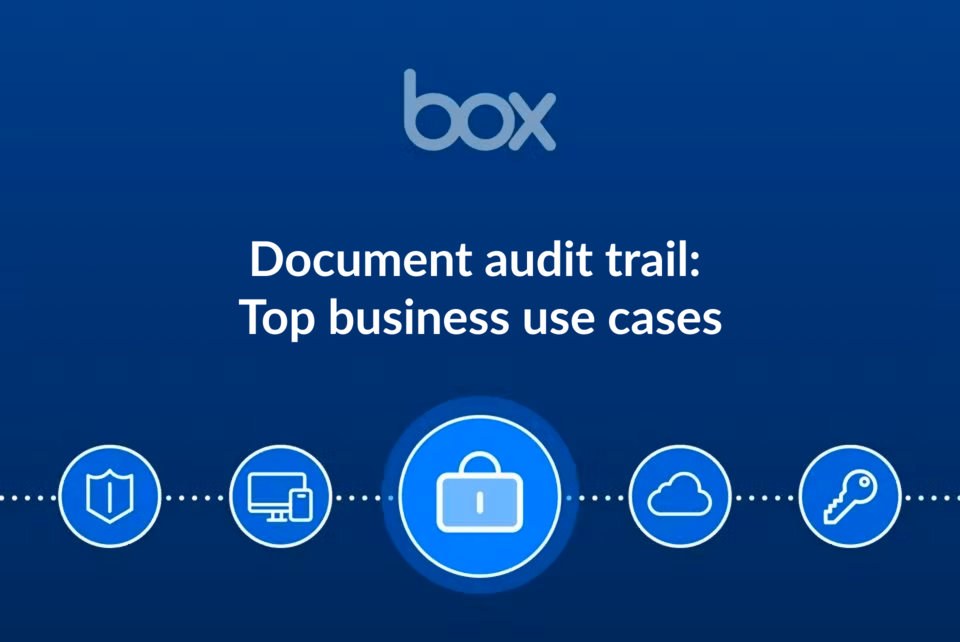 Document audit trail thumbnail